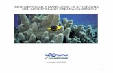 BIODIVERSIDAD Y MANEJO DE LA ICTIOFAUNA DEL … y manejo de... · 1- Concluir el inventario de la ictiofauna de los arrecifes coralinos, manglares, pastos marinos y fondos blandos