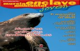 Nº 9 • 4 Trimestre 2006 • Año 3 - Revista 'Murcia ... · chicas del IES Monte Miravete de Torreagüera. La ... como Calarreona y El Cabezo de la Jara, y este año ha sido en