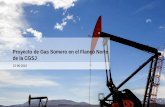 Proyecto de Gas Somero en el Flanco Norte de la CGSJ · Proyecto de Gas Somero en el Flanco Norte de la CGSJ 22-06-2016. ... Se definió el espesor Útil de cada pozo a partir de