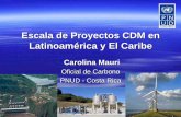 Escala de Proyectos CDM en Latinoamérica y El Caribe · Proyectos en Países del Caribe País No de Proyectos CERs al 2012 Bahamas 1 57 ... Uso de Biomas ... Países de la región