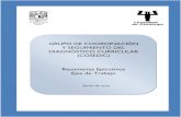 Resúmenes Ejecutivos Ejes de Trabajo - FPSI-UNAM · queda plasmada en los documentos generados por los claustros, los resúmenes ejecutivos de los grupos de trabajo y las síntesis