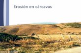 Erosión en cárcavas - Antonio Jordánantoniojordan.weebly.com/uploads/2/2/2/8/22283836/pimed-8-2.pdf · Originalmente, su propósito fue sustituir a la USLE en las valoraciones