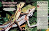 La Iguana de morrión serrado - reptilia.esreptilia.es/wp-content/uploads/2018/02/045.pdf · El terrario La pareja inicial al principio se alojó en un terrario de ... Conclusión