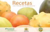 introducción · introducción introducción El Comité Institucional Asesor de Frutas Amazónicas, conformado por la Ini-ciativa Biocomercio Sostenible (CORPEI/EcoCiencia), la ...