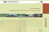 Ecu08 Reporte 2008 - unodc.org · cultivos de coca en Ecuador para el 2008 y en la elaboración del presente informe: ... Estadístico, Sección de ... ha mostrado evidencia, ...