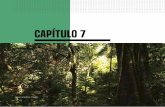 capítulo 7 - El portal único del gobierno. | gob.mx y en las selvas secas la ampliación de zonas áridas y desérticas (semiáridas)12. Estrategias y políticas de gestión climática