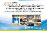 Análisis de Impactos Sociales desde la percepción de ...agropalmahn.com/wp-content/uploads/2014/01/Informe-Impactos-Social... · específica, con resultados positivos o negativos.