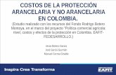 COSTOS DE LA PROTECCIÓN ARANCELARIA Y NO ... DE LA PROTECCIÓN ARANCELARIA Y NO ARANCELARIA EN COLOMBIA. (Estudio realizado con los recursos del Fondo Rodrigo Botero Montoya, en el