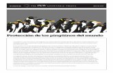 Protección de los pingüinos del mundo - pewtrusts.org/media/legacy/uploadedfiles/peg/... · en el pasado por parte de los humanos.10 Predadores introducidos y enfermedades invasoras:
