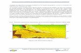 4.4.1. Patrones trayectorias estacionales de la Corriente Antillana … Medio Ambiente... · 2012-06-21 · entre los 15cm/s a 23 cm/s con un promedio de 18cm/s. ... 33. Vectores