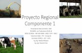 Proyecto Regional Componente 1 - inale.org · Proyecto Regional Componente 1 Presentación datos de Otoño 2018 ... Sales, Minerales, Urea, etc Reservas Costo Reservas Pasturas Pasturas