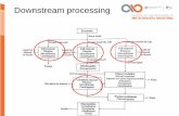 Downstream processing - biotecnologiaindustrial.fcen.uba.arbiotecnologiaindustrial.fcen.uba.ar/wp-content/uploads/2016/03/... · partículas que hacemos pasar a través de un filtro.