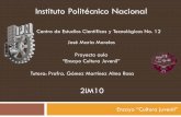 Instituto Politécnico Nacional - repositoriodigital.ipn.mx · En la ciudad de México el movimiento de las tribus urbanas, comenzó en ... LAS ESTADISTICAS EN MEXICO SON: 15 DE 20