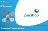Programa Pausas Activas - Pacíficopacificoseguros.com/site/Portals/0/...PROGRAMA-PAUSAS-ACTIVAS-2015.pdf · Norma básica de ergonomía y procedimiento de evaluación de riesgo disergonómico.
