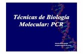 T©cnicas de Biolog­a Molecular: (1)_2010.pdf  dentro de las 24 horas de la recolecci³n (decontaminaci³ny