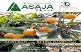 y AUGURAN BUENA CAMPAÑA , - ASAJA Alicante · marcado por el mantenimiento de la superficie agraria y un aumento ... ejemplo, ayudas de Primera Instala- ... aportando facilidades