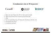 Colaboran en el Proyecto - wdbridge.com Sheets/Spanish Panels/2015-11... · Colaboran en el Proyecto •Agencia de Inspección Alimentaria de Canadá ... intersecciones clave para