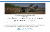 UN CASO DE SUSTENTABILIDAD EN JUJUY ... - Argentina Ambientalargentinambiental.com/wp-content/uploads/pdf/AA57-22-Ledesma_Entre... · un plan de ordenamiento territorial y de un programa