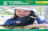 animales y plantas número 17 SPAP_2013_07.pdf · a educar en el respeto a los animales que se desarrolla en la Comunidad Valenciana. ... Jugar y cuidar a su perro, gato, cone-jo…