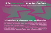 Litigación y sistema por audiencias - inecip.orginecip.org/wp-content/uploads/Sistemas-Judiciales-N21-El-rol-del... · 80 REFLEIONES LITIGACIÓN Y SISTEMA POR AUDIENCIAS El rol del