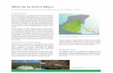 Miel de la Selva Mayaselvamaya.info/wp-content/uploads/2017/02/Fact...Miel_ES_A4_280217.pdf · Miel de la Selva Maya Una alternativa económica sustentable para comunidades locales