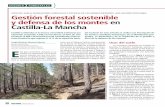 USOS DEL SUELO, FORMACIONES FORESTALES Y ... (3.564.779 hectáreas) está considerado como te-rreno forestal lo que supone el 13 % de la superficie fores-tal nacional. En este artículo