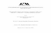 UNIVERSIDAD AUTONOMA METROPOLITANA IZTAPALAPA148.206.53.84/tesiuami/UAMI10486.pdf · caracterización de películas delgadas compósitos formadas con ... producción de nuevos materiales