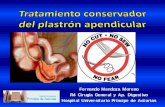 Fernando Mendoza Moreno R4 Cirugía General y Ap. Digestivo ... · Apendicitis aguda Urgencia quirúrgica más frecuente. Puede complicarse por el desarrollo de una masa apendicular
