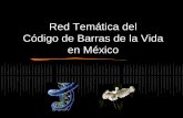 Red Temática del Código de Barras de la Vida en México2006-2012.conacyt.gob.mx/.../Red-codigo-de-barras.pdfCon el apoyo de CONACYT se forma el Comité de la Red Temática del Código