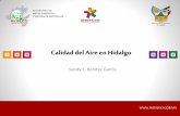 Calidad del Aire en Hidalgo - gob.mx · en el aire de usuarios del Tuzobus. • Implementación de Unidades de Salud Centinela en la Megalópolis. • Fortalecimiento al Sistema de