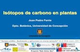 Isótopos de carbono en plantas - udec.clrriquelm/01_Carbono_CursoIsotopes2017.pdf · en plantas Juan Pedro Ferrio. Dpto. Botánica, Universidad de Concepción. Isótopos de carbono