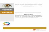 SERVICIO NACIONAL DE SANIDAD, INOCUIDAD Y CALIDAD ... SRRC/Anexo Tecnico 1.pdf · 7 glosario de terminos. anexo tÉcnico 1. requisitos generales para el reconocimiento y certificaciÓn