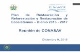 Plan de Restauración y ReforestaciónyRestauraciónde ...dialogoelsalvador.com/dialogo_sv/admin/uploads/documentos/galerias/... · PLAN NACIONAL DE REFORESTACION Y RESTAURACION 2016