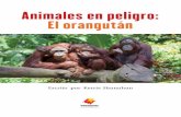 Animales en peligro: El orangután - despegando-hacia-la …despegando-hacia-la-lectura.com/wp-content/uploads/sites/2/2018/04/... · Introducción En todo el mundo hay muchos animales