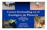 Contra freeloading en el Zool gico de Phoenix)chimpanzoo.org/enrichment/spanish/scontra.pdf · dietas especiales. La traducción literal de Contra freeloading es: Contra= Contra ...