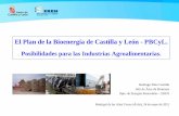 El Plan de la Bioenergía de Castilla y León - PBCyL. · El Sector agrario y agroindustrial en Castilla y León. • Industrias agroalimentarias: Representa el 9,5% del total nacional