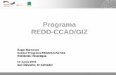 Proceso de preparación Programa REDD CCAD/GTZ en ... · Importación de alimentos) ... Coordinador SE-CCAD y jefe de misión de GTZ Sr. Richard Modley. ... FLUJOGRAMA PROYECTO CARBONO