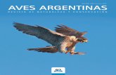 Septiembre AVES ARGENTINAS - cempaorg.files.wordpress.com · el halcón peregrino, el ave más veloz del mundo. seguimiento minucioso En una amplia repisa, detecto la presencia de