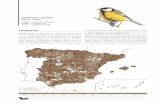Carbonero Común Parus major - mapama.gob.es · costa de Huelva y SE árido, así como en las islas Columbretes, ... ción con respecto a la estimada en el atlas anterior (Purroy,