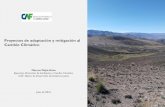 Proyectos de adaptación y mitigación al Cambio Climático · vulnerables en las provincias de Arequipa, Caylloma, Condesuyos, ... • Construcción de diques en tierra, para la
