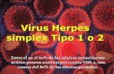 Virus Herpes simplex Tipo 1 o 2 - siccordoba.comsiccordoba.com/cursotrienal/admin/archivos/Clase herpes, chancro... · 2 a 7 dias. Chancroide: Se muestra la aspiración de ... Ciprofloxacina