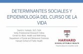 DETERMINANTES SOCIALES Y EPIDEMIOLOGÍA DEL … · Contenidos Objetivo Ofrecer un panorama general de la epidemiología del curso de la vida en el marco de los determinantes sociales