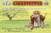 Vicaría diocesana de Pastoral - dsanjuan.orgdsanjuan.org/boletin/400s/Boletin_420.pdf · hacer un esquema o entender un elemento. ... histórica, dinámica, creativa y misionera.