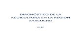 Diagnóstico de la Acuicultura - Ayacuchoxa.yimg.com/kq/groups/15004777/1947179190/name... · Web viewExisten nueve (09) lagunas evaluadas, 13 ríos y 1 manantial en la provincia