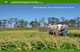 Descripción de variedades de arroz - inase.uy · Instituto Nacional de Semillas Evaluación y Registro de Cultivares Descripción de variedades de arroz Treinta y Tres, Uruguay