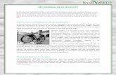 DÍA MUNDIAL DE LA BICICLETA - lineaverdemunicipal.com · Beneficios del uso de la bicicleta ... Se han de mejorar los derechos de los ciclistas al tiempo que se les transmite, tanto