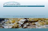 Los estudios moleculares en las macroalgas marinas ...cymbella.mx/img/numeros/V2/01/V2_Num_01.pdf · Ambiente intermareal en Playa Muñecos, Veracruz Foto de A. Sentíes. Tomada con
