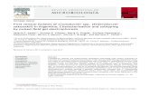 REVISTA ARGENTINA DE MICROBIOLOGÍA - SciELO · REVISTA ARGENTINA DE MICROBIOLOGÍA INFORME BREVE First clinical isolates of Cronobacter spp. (Enterobacter sakazakii) ... a Servicio