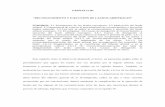 CAPÍTULO III “RECONOCIMIENTO Y EJECUCIÓN DE LAUDOS ...catarina.udlap.mx/u_dl_a/tales/documentos/ledi/maupome_c_a/... · CAPÍTULO III “RECONOCIMIENTO Y EJECUCIÓN DE LAUDOS