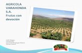 Experiencia exitosa de productores de Mango en Colombia ... · negocio# Relaciones%con%los% demás: ... LOGRAR-LA-MAYOR-PRODUCCION-DE-FRUTA- ... Retos#futuros#en#el#programa#mango#!